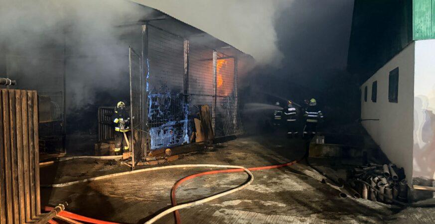 sursa foto:ISU SUCEAVA